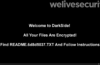 Ransomware: To pay or not to pay? Legal or illegal? These are the questions …