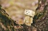 cardboard robot toy on wooden tree